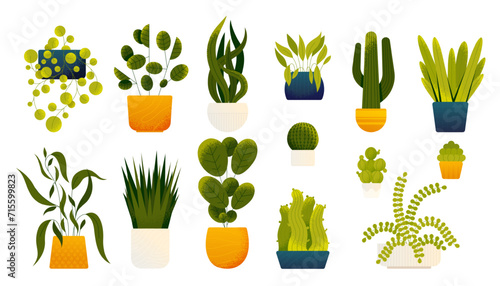 Houseplants in pots. Cartoon decorative plants in vases, monstera leaf and cacti, alocasia and philodendron in vase. Vector flat set