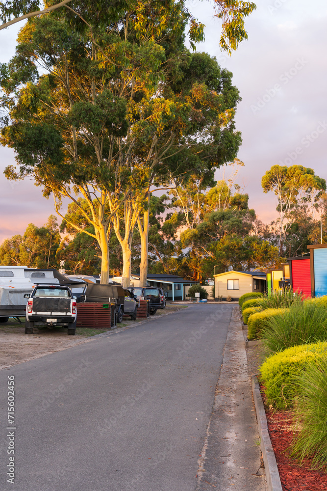 Looking down a laneway with 4 wheel drives and caravans under tall gumtrees in a caravan park Looking down a laneway with 4 wheel drives and caravans under tall gumtrees in a caravan park