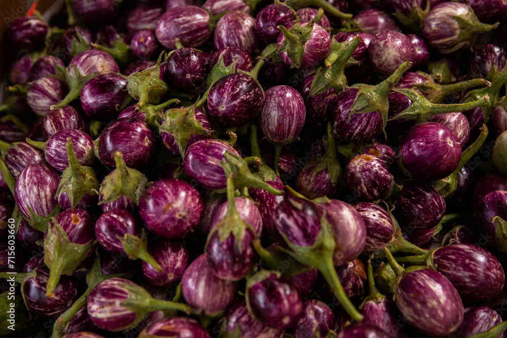 small purple eggplant for sale at the markets small purple eggplant for sale at the markets