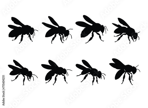 bee vector design illustration isolated on white background
