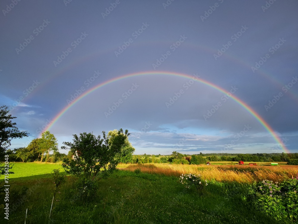 Naklejka premium rainbow over field
