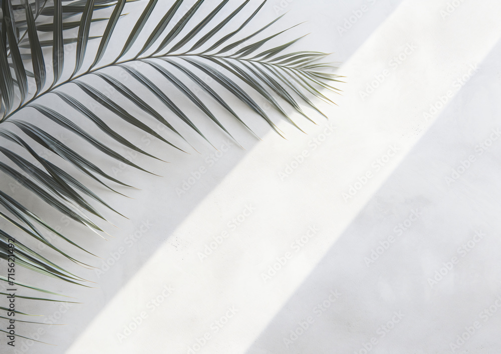 Fototapeta premium white wall texture with palm leaves, in the style of inky shadows, shaped canvas, contrasting shadows, high resolution, light gray and gray, scattered composition, soft-edged