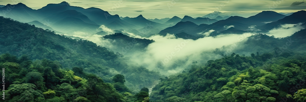 misty panorama of the mountains, Foggy landscape in the jungle. Fog and cloud mountain tropic valley landscape.