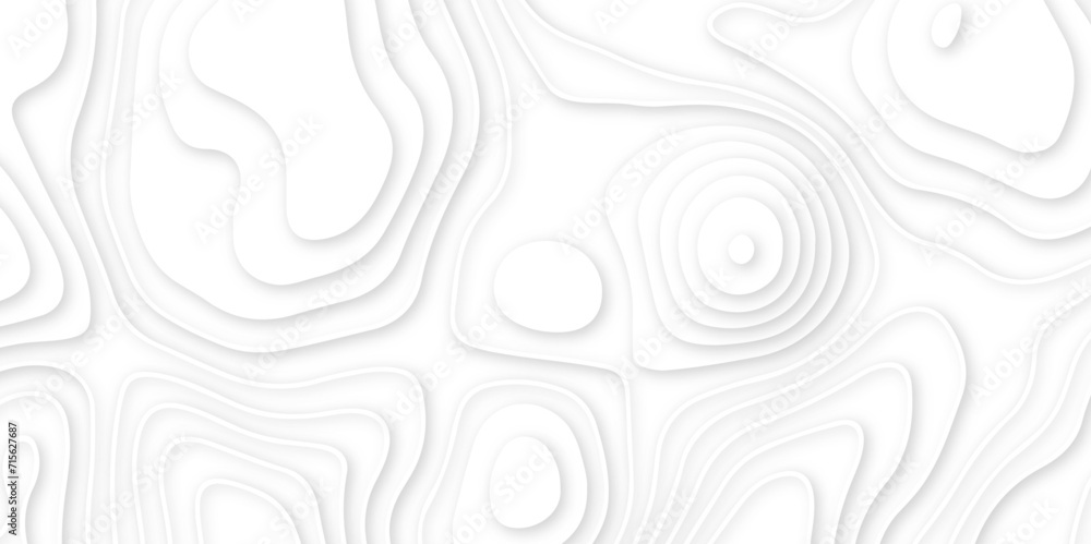 Abstract wavy line 3d paper cut white background. abstract white background with smooth wavy layers. silver grid map line topography mount contour map . Abstract wavy line 3d paper cut white background. abstract white background with smooth wavy layers. silver grid map line topography mount contour map .
