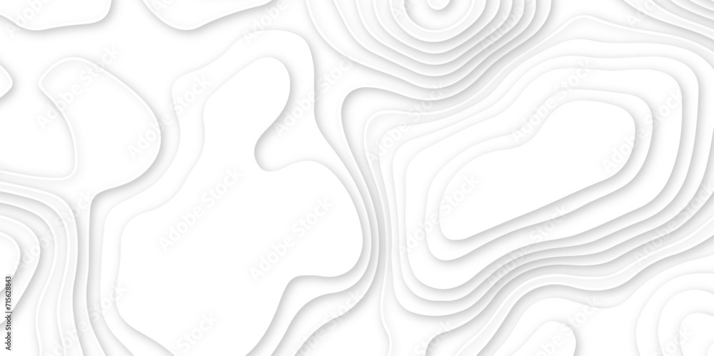 Abstract wavy line 3d paper cut white background. abstract white background with smooth wavy layers. silver grid map line topography mount contour map .