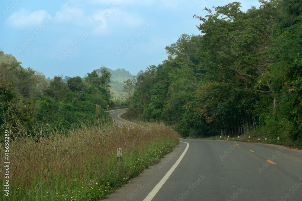 Asphalt road that curves back and forth. Side of the road was covered with grass and green trees along the mountainside. Under blue sky. Route to Pong District, Phayao Province route of Thailand.