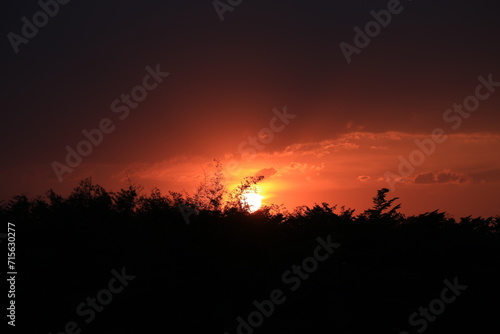sunset over the field