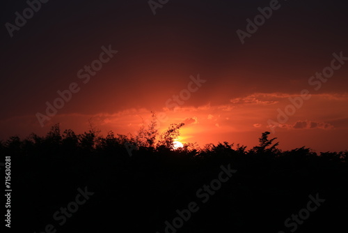sunset over the field