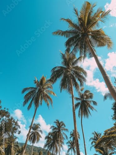 Low angle view of tropical coconut palm trees with clear blue sky - AI Generated