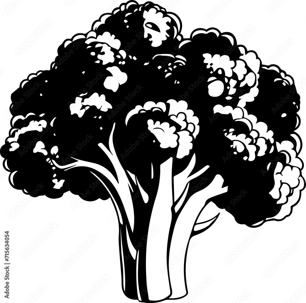 Fototapeta premium broccoli vector design illustration isolated on transparent background 