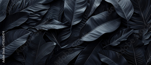 Abstract black leaf texture forms tropical leaf background