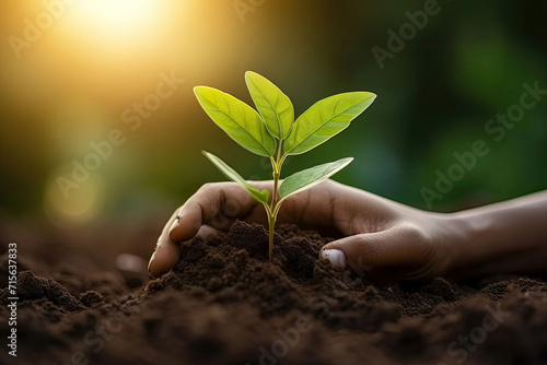 Earth Day, Human Hand Holding Soil with Newborn Small Tree, Young Plant Growing in Morning Sunlight, Aerial View with Blur Background for Plantations, Environment Day