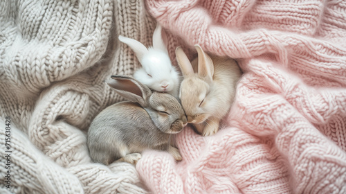 Three adorable rabbits sleeping together on pink and grey knitted fabric, top view, closeup, Generative AI