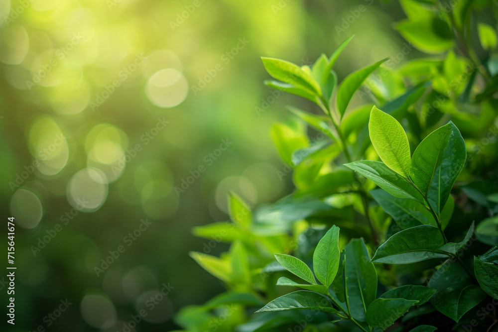 Plants that sprout in spring. Plants that sprout in spring.