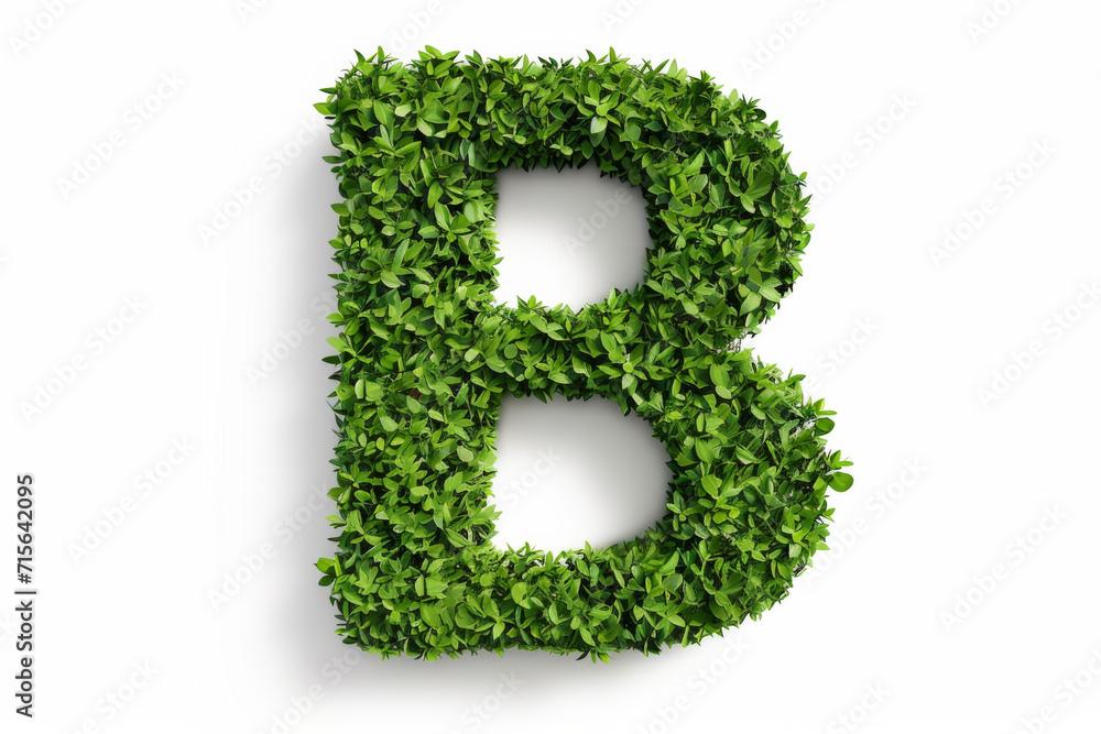 A letter drawn from grass. A letter drawn from grass.