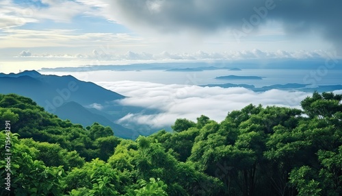 View of the sea of clouds from the top of the mountain peak before storm. Tropical rainforest.
