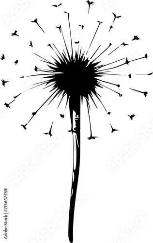 dandelion design illustration isolated on transparent background 
