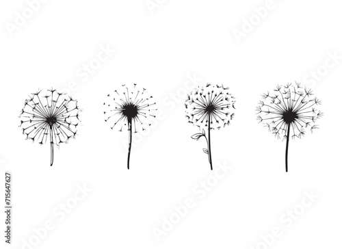  dandelion vector design illustration isolated on white background 