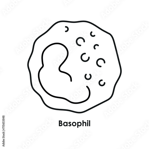 Basophil color icon. White blood cells in the blood vessels.
