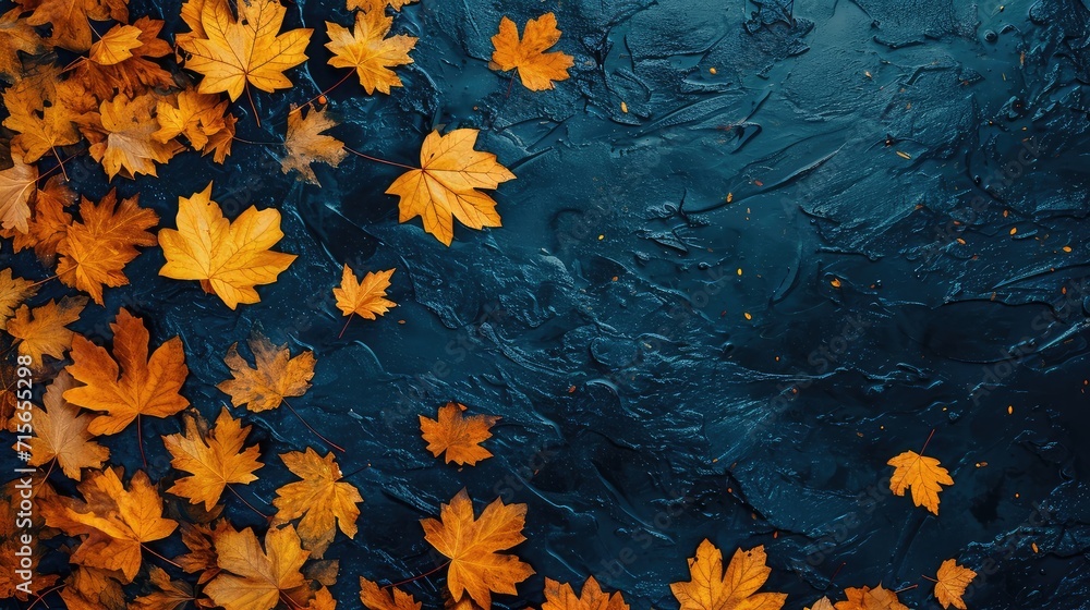 Obraz premium Autumn background. bright yellow-orange fallen maple leaves in dark blue water. autumn atmosphere image. symbol of fall season. flat lay. template for design