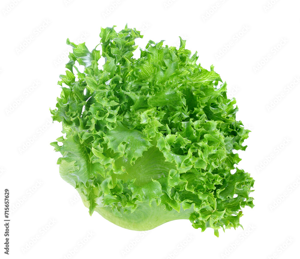 Obraz premium Green lettuce transparent png