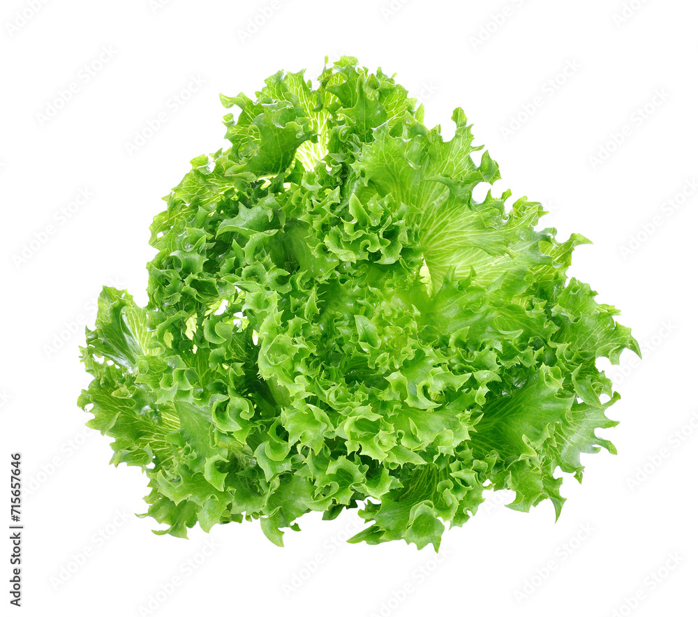 Obraz premium Green lettuce transparent png