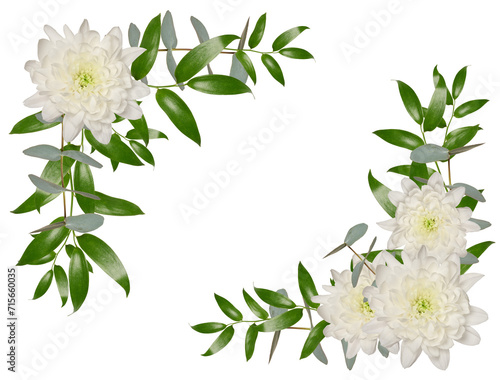 Decorative composition of white chrysanthemum flowers and green leaves