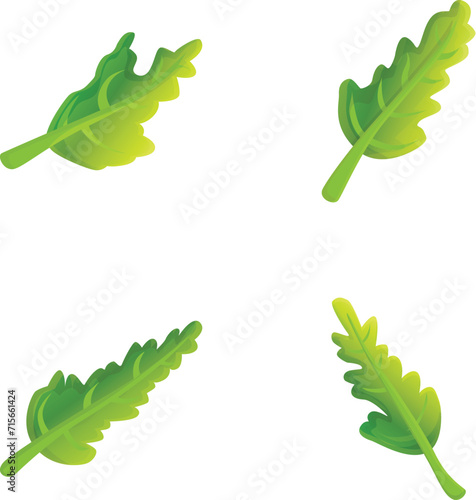 Arugula icons set cartoon vector. Fresh green arugula leaf. Organic vegetable, salad ingredient