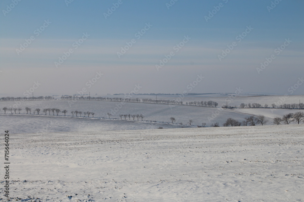 A snowy landscape with a fence and a snowy field and mountains in the background