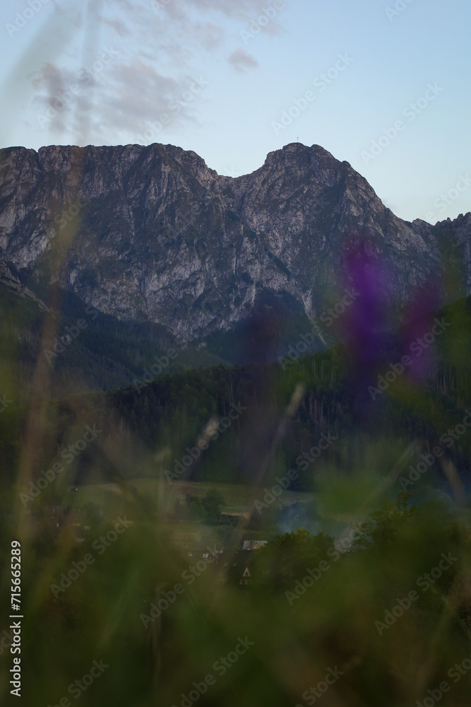 Szczyt Giewontu górujący nad podtatrzańskimi łąkami i lasami. The Giewont peak towering above the Tatra meadows and forests.