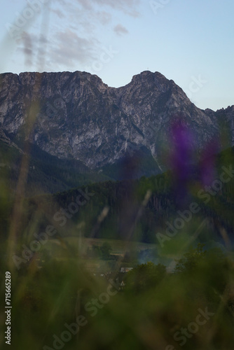 Obraz na płótnie Szczyt Giewontu górujący nad podtatrzańskimi łąkami i lasami. The Giewont peak towering above the Tatra meadows and forests. w salonie