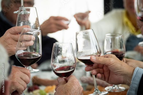 This image captures a social gathering where individuals are toasting with glasses of red wine. The focus is on the hands holding the glasses, with the foreground showing a clear view of several wine
