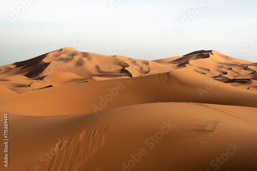 Desert with Quad footprints