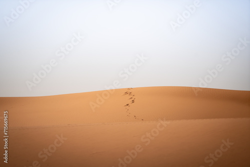 Footprints in a dune