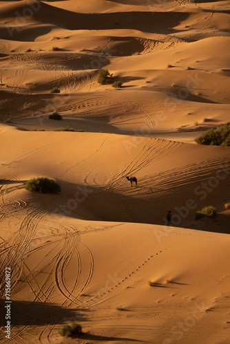 Man waking in the desert