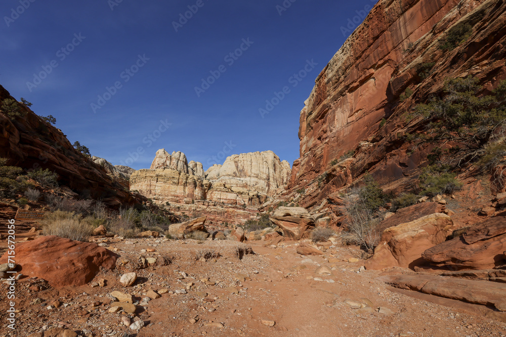 Fototapeta premium Scenic Landscape in Capitol Reef National Park Utah
