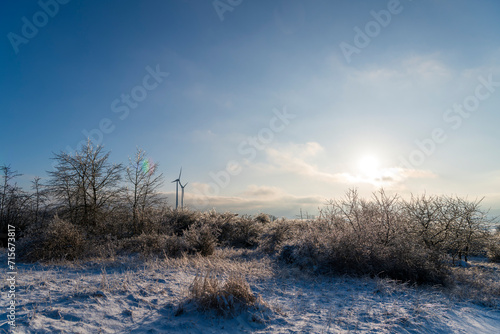 winter landscape with trees and snow