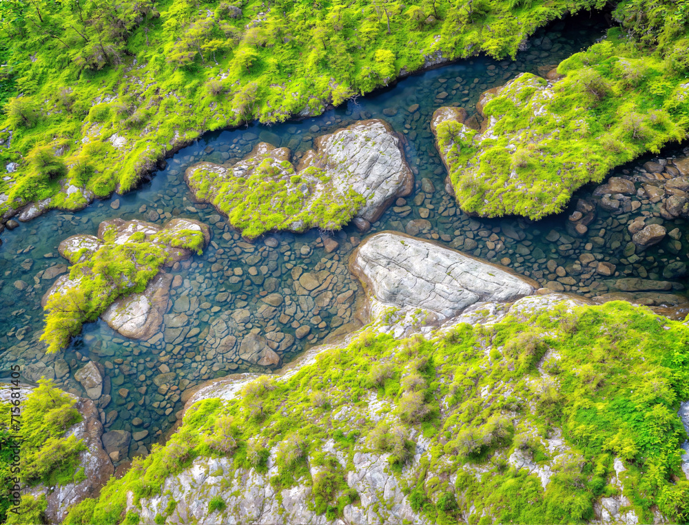 Aerial View of a Lush Mountain Stream Aerial View of a Lush Mountain Stream