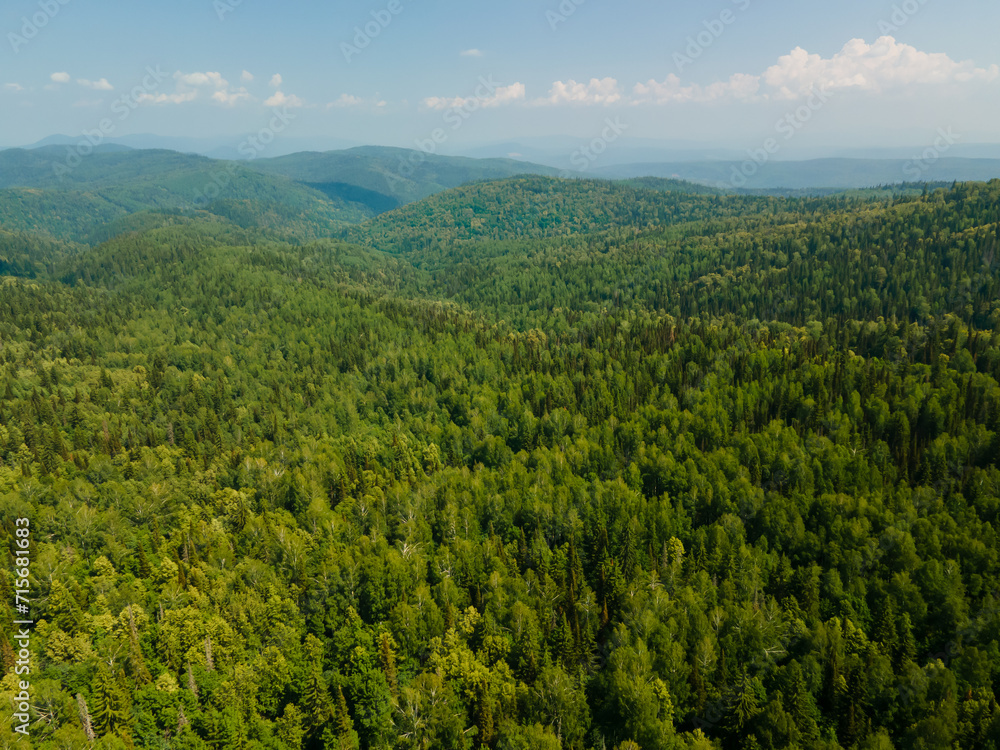 Aerial view of pine forests in the mountains against a blue sky, healthy environment, nature reserve, ecopark. Aerial view of pine forests in the mountains against a blue sky, healthy environment, nature reserve, ecopark.
