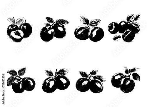 plum vector design illustration isolated on white background
