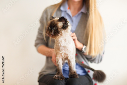 Blond woman with her Persian Cat Extreme photo