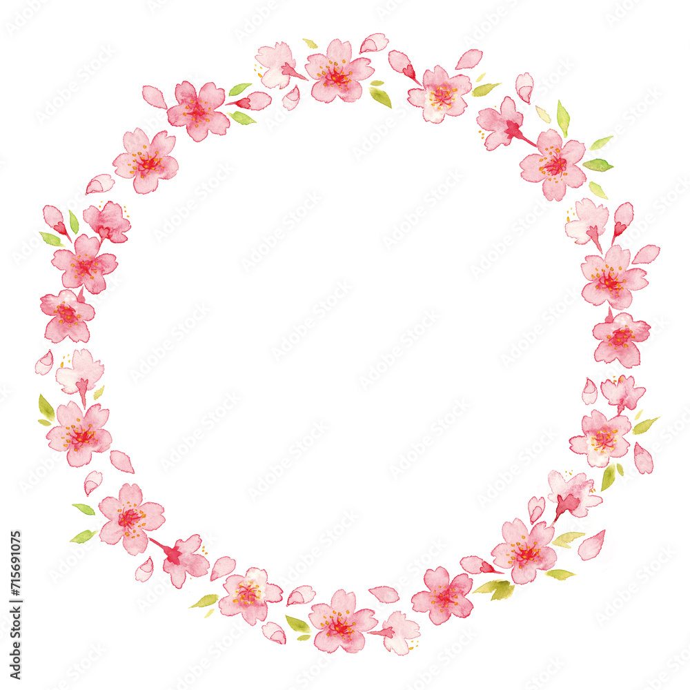 桜の花の水彩イラスト５