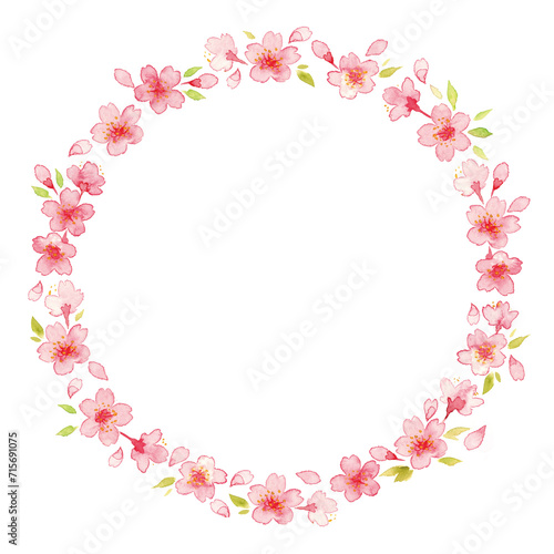 桜の花の水彩イラスト５ © IROHA