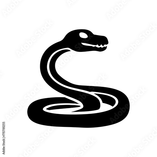 Black Snake Silhouette