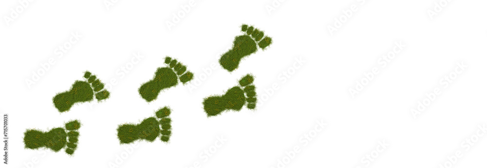 3d render of an ecological footprint, grassy footprint on a white background 3d render of an ecological footprint, grassy footprint on a white background