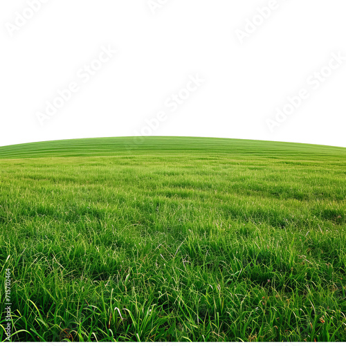 green field