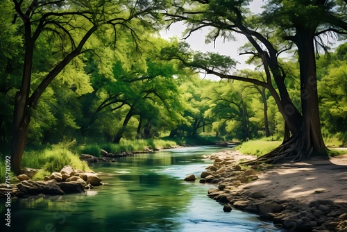 A serene river winding through the lush greenery of the Texas Hill Country  offering a peaceful escape into nature.