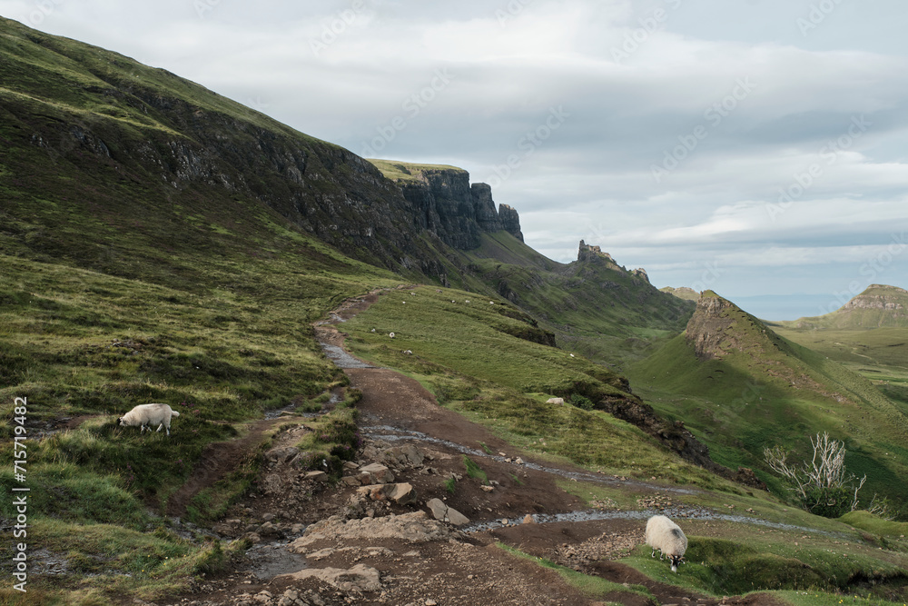 Nature Landscape in Highland, Scotland