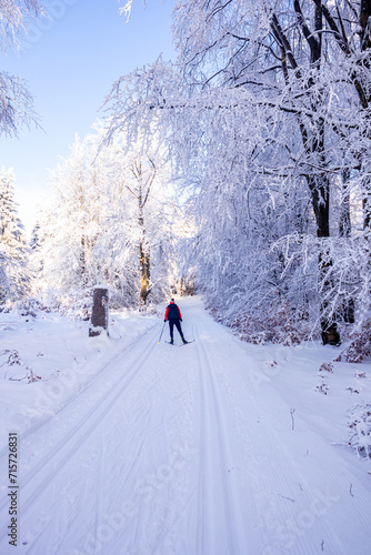 Langlaufrunde bei bestem Kaiserwetter im verschneiten Thüringer Wald bei Floh-Seligenthal - Thüringen - Deutschland