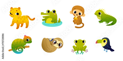 Cartoon tropical baby animals set. Vector collection of cute colorful jungle mammals for kids.